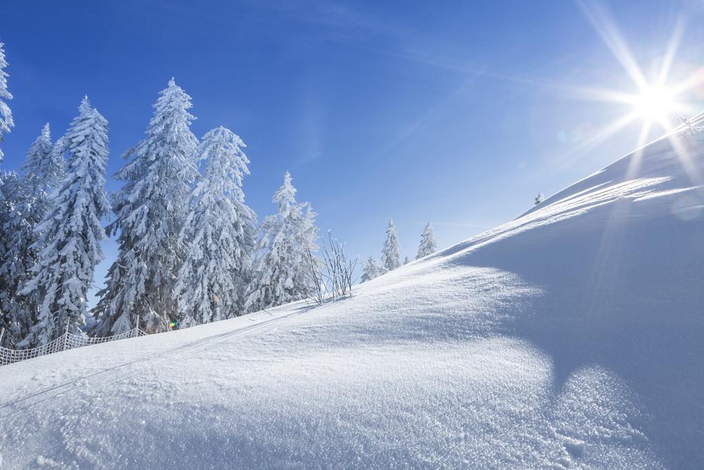 Ferienbauernhof Elmaugut Villa Mühlbach am Hochkönig Eksteriør billede
